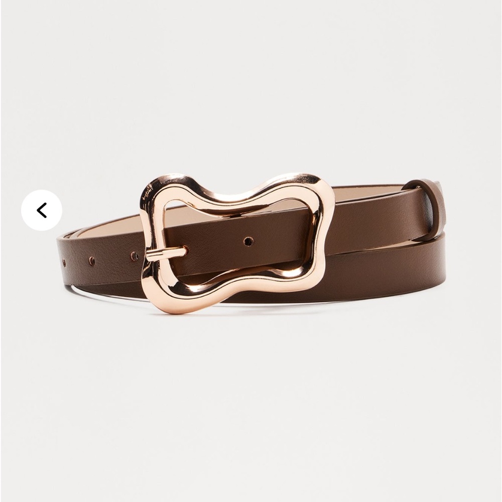 Fashion Nova Brown Belt